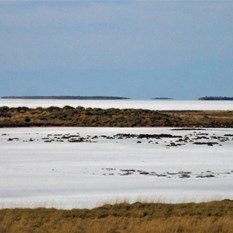 Looking across a whole lot of nothing! - Lake Disappointment CSR