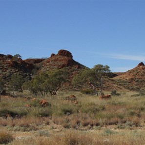 The western end of the Broadhurst Ranges
