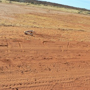 Message for the camel whisperer!