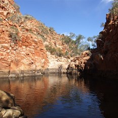 Deep, dark and bloody cold! - Pool four of the DQB