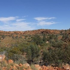 The pound area at the head of the DQB gorge.