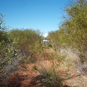 OK so duco protection is a good thing - The track to Hanging Rock