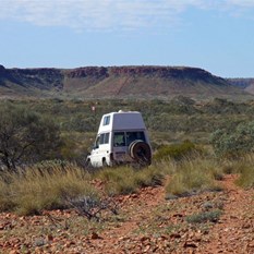 The guppy leading the charge to Bocrabee.