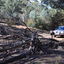 Licking Hole yards and hut, Abercrombie NP, NSW