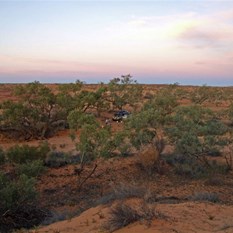 Our camp in the dunes