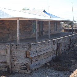 Koonalda station Nullarbor NP SA