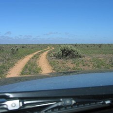 Old Coach Road Nullarbor NP SA