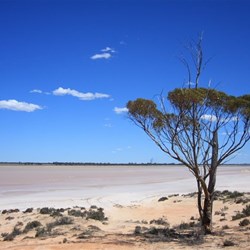 Lake Johnston Hyden Norseman Rd WA