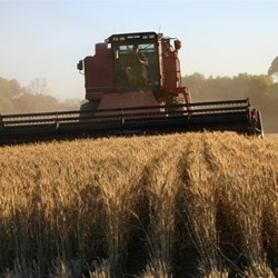 Harvesting near Quairading WA