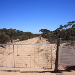 Googs Track start SA