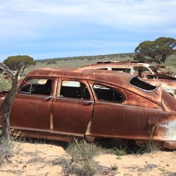 Ivy Tank Old Eyre Hwy SA