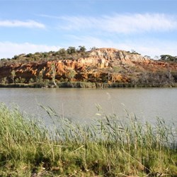 Booky Cliffs Campground - Murry River National Park, Katarapko Section