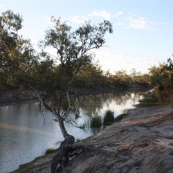 Darling River (Kinchega National Park)
