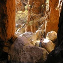 Bub taking a rest break at the end of the chasm