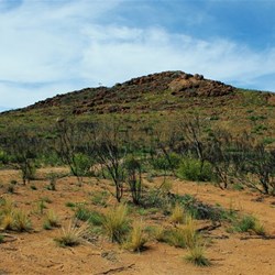 The hill that I named 'Heathers Folly'
