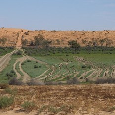 A hundred choices in the wet and all of them WRONG!