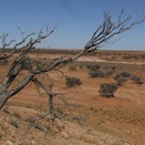 View south west from the knolls