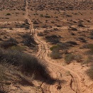Looking back east along the WAA line