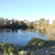 Dalhousie Spring in the late afternoon.