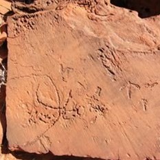 Petroglyphs at Ewaninga