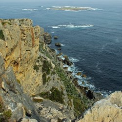 Views from the Point 