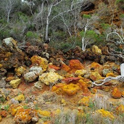 yellow and red rocks around the foreshore at Millers Point