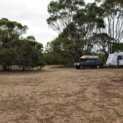 campsite at Mt trio Park - all by ourselves