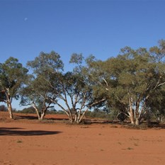 One of the many Creek crossings on our way west.