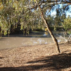Paroo River, Wannaaring