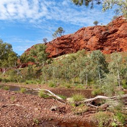 The hills at Kalgan Creek