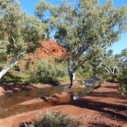 The colours are marvelous