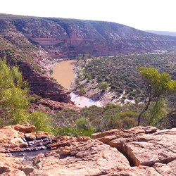 Murchison River
