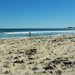 beach fishing at greenough