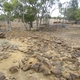 Stone Pitching at Twelve Mile Dam