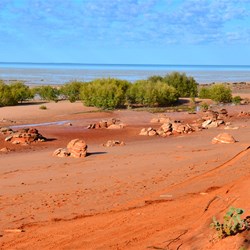 mudflats at Roebuck bay - low tide