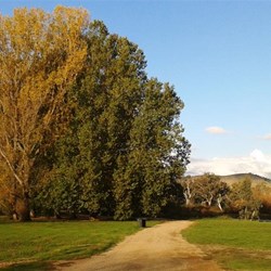 And you can camp right by the river