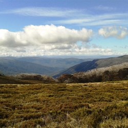 A Bogong High Plains View