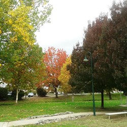 Colours changing in Tumbarumba park