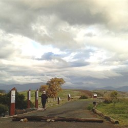 Ruth looks at story boards at the Memorial