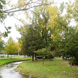 The stream that runs through Tumbarumba