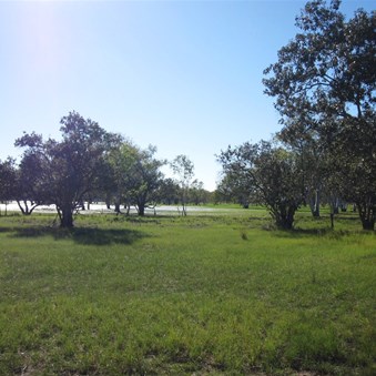 Some of the wetland areas on the La Djardarr Bay Road