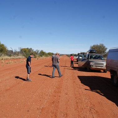 On the Track just west of Mt Connor