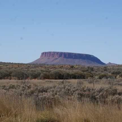 Mount Connor from the west