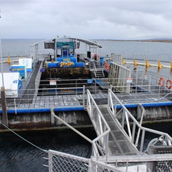 Port Lincoln Tuna tour