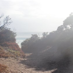 View from our Memory Cove Camp Ste