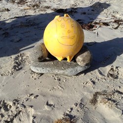 Bouy Wilson Enjoying the Sunshine