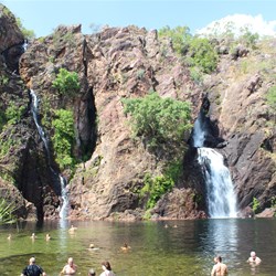 Wangi Falls Litchfield