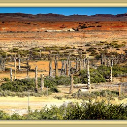 Stockyards - Dalhousie Ruins