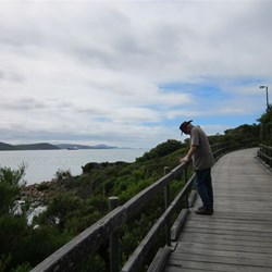 Boardwalk Ellen Cove