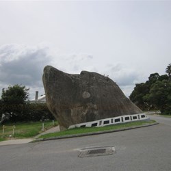 Dog Rock